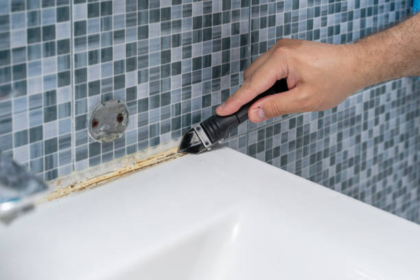 Best Industrial Mold Remediation in Millbrook, AL