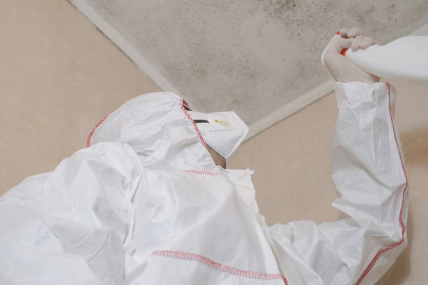 Best Residential Mold Remediation in Millbrook, AL